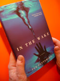 book cover - IN THE WAKE by Per Petterson